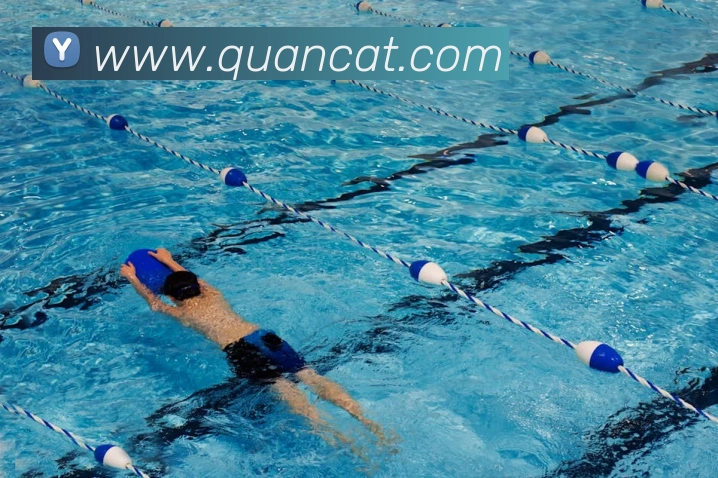 半岛网页版登录入口APP 体育赛事宣传图